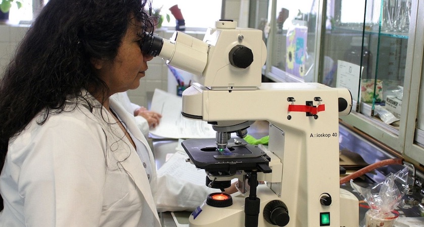 pharmacist using microscope